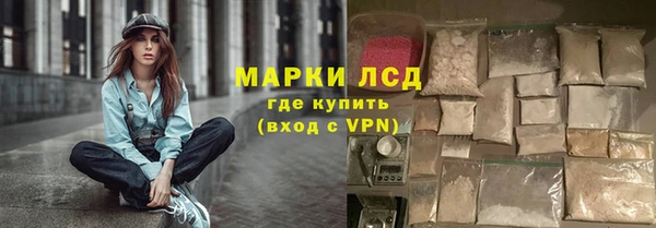 ГАЛЛЮЦИНОГЕННЫЕ ГРИБЫ Осинники