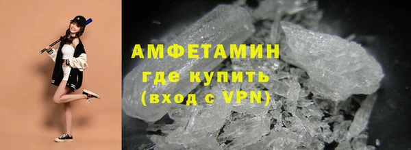 ГАЛЛЮЦИНОГЕННЫЕ ГРИБЫ Осинники