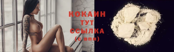 ПСИЛОЦИБИНОВЫЕ ГРИБЫ Осташков