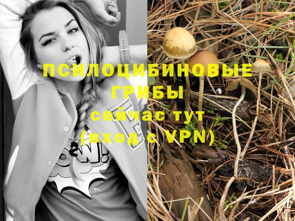 ГАЛЛЮЦИНОГЕННЫЕ ГРИБЫ Осинники