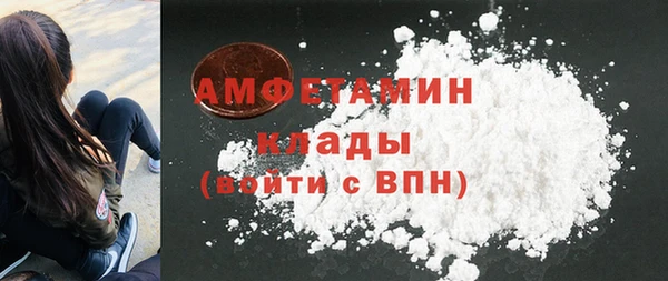 ГАЛЛЮЦИНОГЕННЫЕ ГРИБЫ Осинники