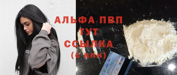 ГАЛЛЮЦИНОГЕННЫЕ ГРИБЫ Осинники