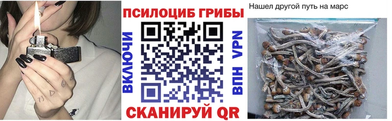 Псилоцибиновые грибы Cubensis  Сольцы 